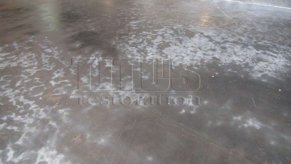 Wet Concrete Floors Sweating Slab Syndrome Titus Restoration